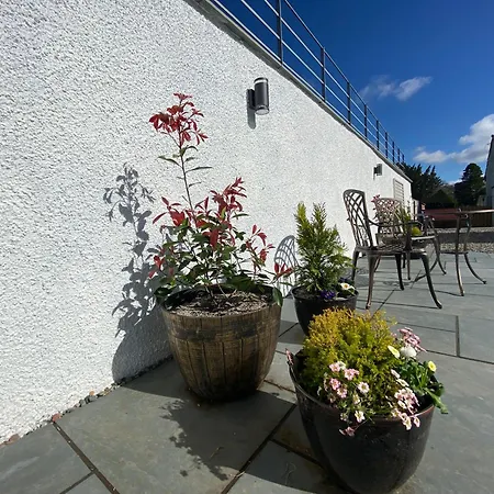 Ashmead * アンブルサイド